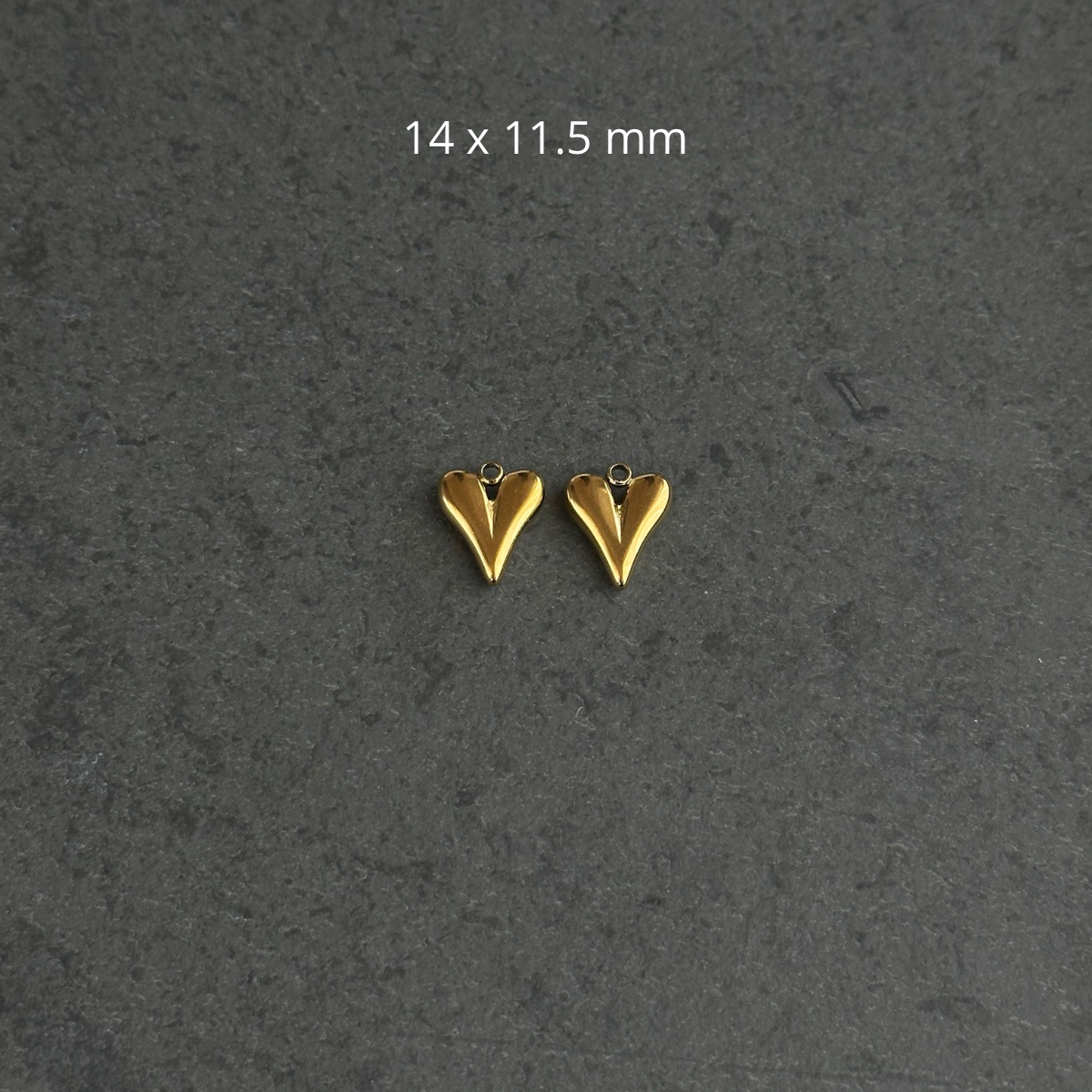 Earring charm 2 pcs