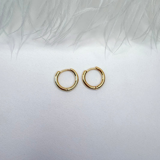 hoop earrings for interchangeable charms